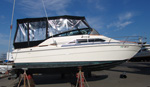 1979 Sea Ray 260 Sundancer